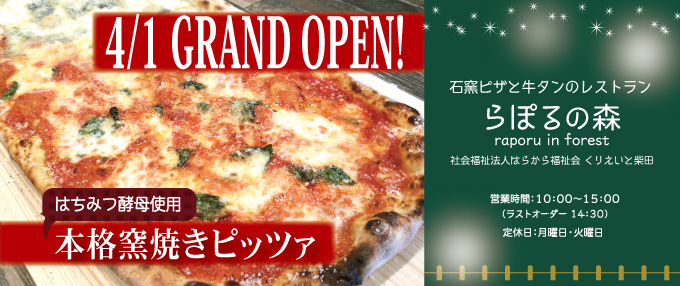 20170331161622919117